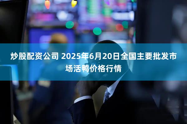 炒股配资公司 2025年6月20日全国主要批发市场活鸭价格行情
