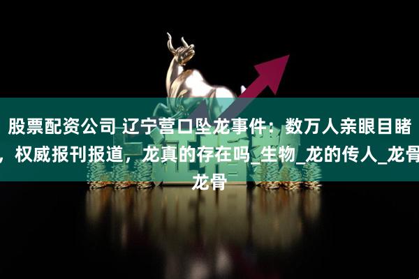 股票配资公司 辽宁营口坠龙事件：数万人亲眼目睹，权威报刊报道，龙真的存在吗_生物_龙的传人_龙骨
