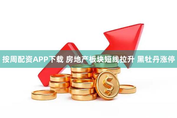 按周配资APP下载 房地产板块短线拉升 黑牡丹涨停