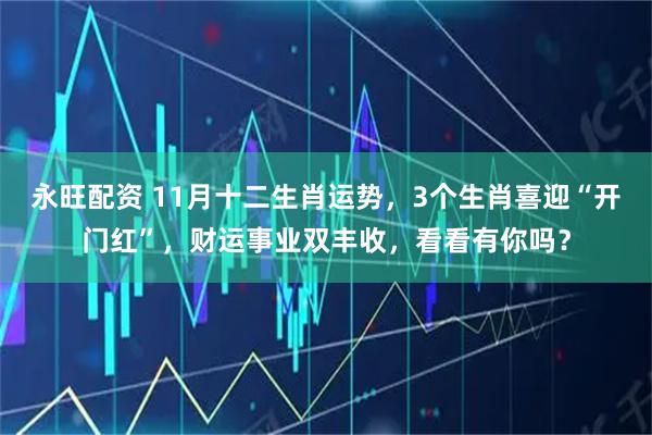 永旺配资 11月十二生肖运势，3个生肖喜迎“开门红”，财运事业双丰收，看看有你吗？